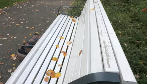 Osijek, 25.09.2019. - Lijepe klupe u Sakuntalu parku uskoro će morati na bojanje. Boja je popucala, nastale su pukotine malo od vremena malo od sjedenja. Fizičkih oštećenja nema.Foto: Željko Šepić