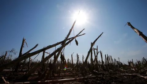 Osijek.21.09.2020. Klimatske promjene,ilustracijaNa Fotografiji: sunceFoto:Marko Mrkonjic