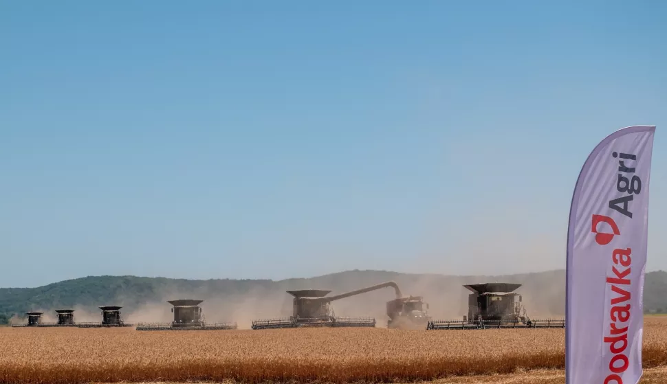 Podravka Grupa objavila je poslovne rezultate za prvih šest mjeseci 2025. godine.