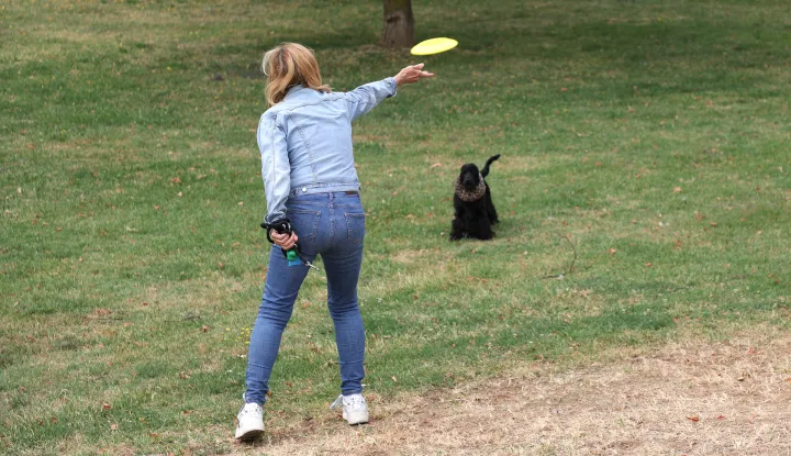 Osijek, 16. 07. 2025., slobodnjak, slobodnjaci; šetnja; pas; frizbi; bacanje, istrčavanje psa; slobodno vrijemeSNIMIO BRUNO JOBST