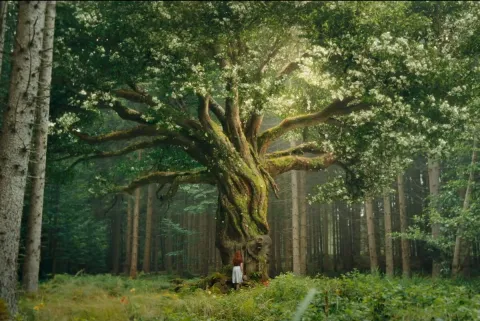 “Djevojčica po imenu Willow”: Dječji kinohit snimljen u maniri Harryja Pottera