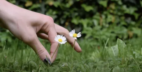 Požežanka pjeva na više jezika, napisala metal operu, a i stvara 3D animacije