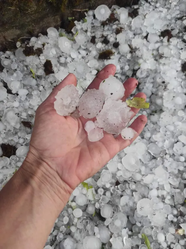 tuča, nevreme, Baranja 