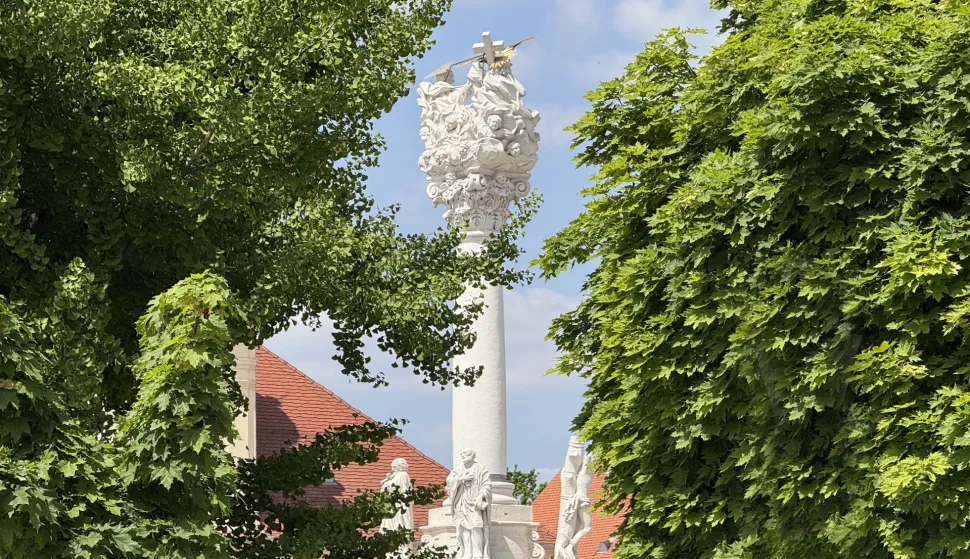Osijek, 05. 05. 2025., Tvrđa, Trg sv. Trojstva, slobodnjak, slobodnjaciSNIMIO BRUNO JOBST