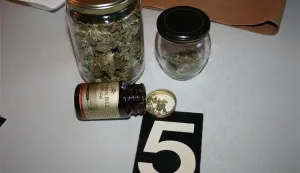 Na osječkom području zaplijenjena marihuana, ilustracija, policija