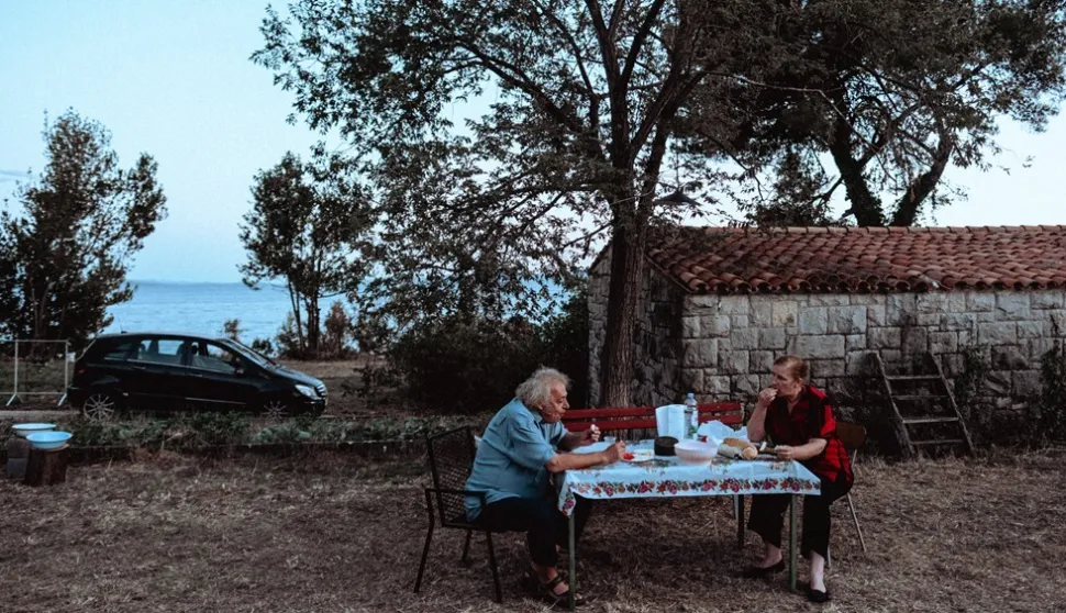 Lisica, Splitsko ljeto