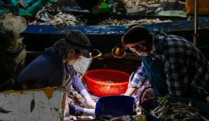 MAGAZIN PEXELSPHOTO BY HONG SON