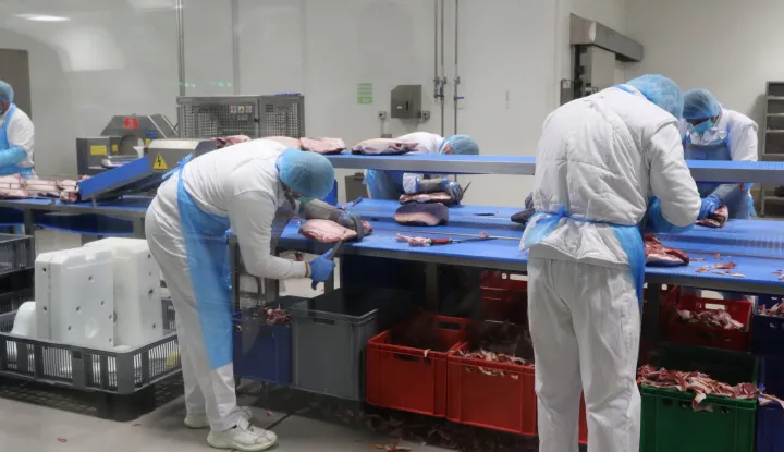 Čepin, 06. 05. 2'025, Prezentacija i Uprava Žito Grupe i obilazak. Pršutana.snimio GOJKO MITIĆ