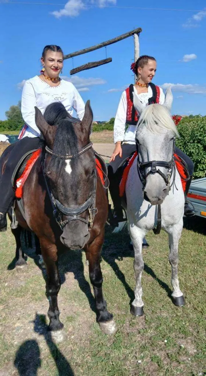 Svatovske zaprege i jahači kod ČarugeErnestinovo, kolovoz 2025.