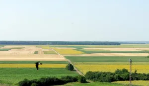 Poziv OPG-ovima: Dostavite podatke o šteti zbog suše