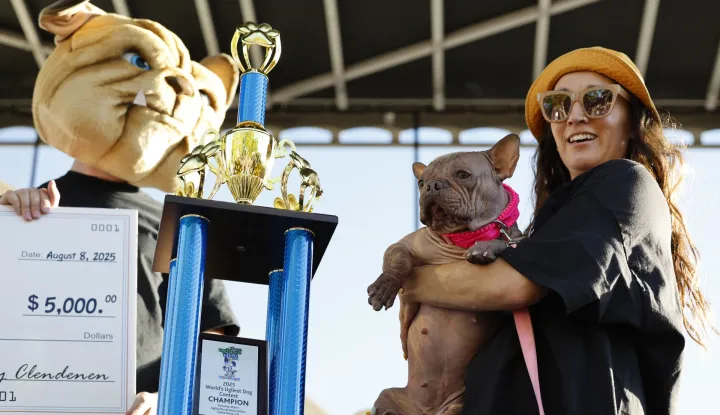Petunia, 2025 World's Ugliest Dog Contest in California