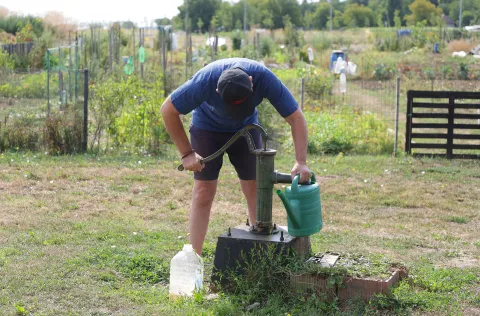 Osijek, 06. 08. 2025., Jug 2, Osječki urbani vrtovi, urbani vrtovi, Udruga Osvrt, poljoprivreda, povrće, voće, uzgajanje SNIMIO BRUNO JOBST