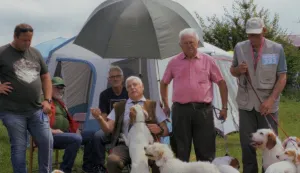 "Medo u šparugama" Ivan Grgur