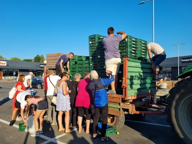 voće voćari ilustracija kru&scaron;ke jabuke m.flego