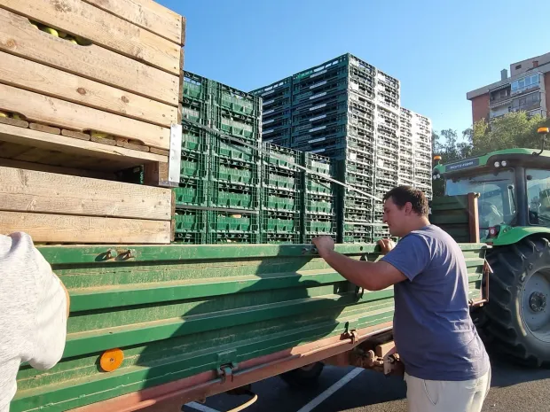 voće voćari ilustracija kru&scaron;ke jabuke m.flego