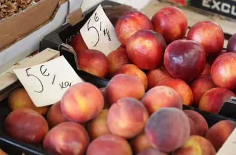 Osijek, 12. 08. 2025., Glavna tržnica, pija, ponuda, ljeto, cijene, ponuda, breskva; breskveSNIMIO BRUNO JOBST