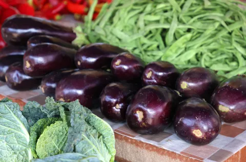 Osijek, 12. 08. 2025., Glavna tržnica, pija, ponuda, ljeto, cijene, ponuda, patlidžan; patlidžaniSNIMIO BRUNO JOBST