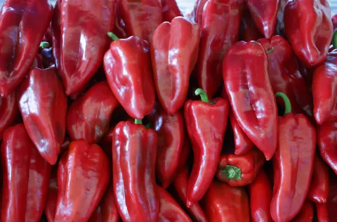 Osijek, 12. 08. 2025., Glavna tržnica, pija, ponuda, ljeto, cijene, ponuda, paprika; paprikeSNIMIO BRUNO JOBST