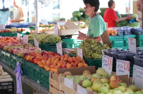 Osijek, 12. 08. 2025., Glavna tržnica, pija, ponuda, ljeto, cijene, ponudaSNIMIO BRUNO JOBST