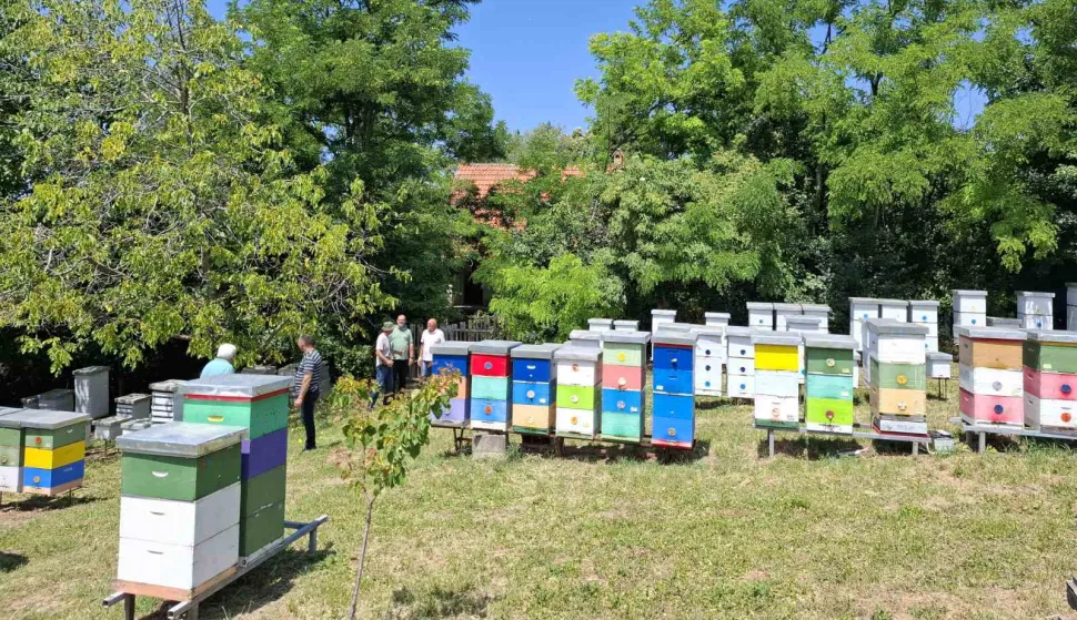 Ministarstvo poljoprivrede, šumarstva i ribarstva izvjestilo je kako je u Narodnim novinama objavljen Pravilnik o medukolovoz 2025.košnice