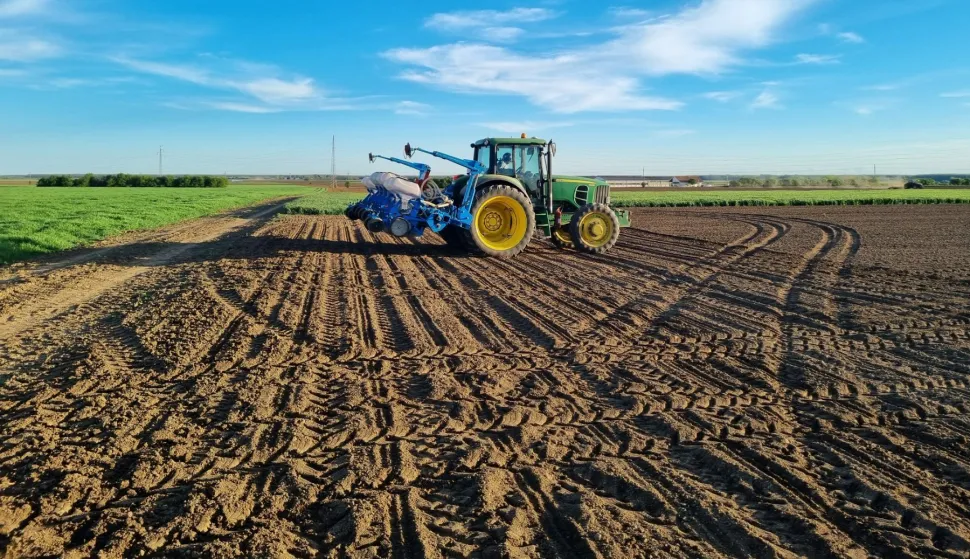 BARANJA - SJETVA KUKURUZA, TRAVANJ 2024.POLJE, NJIVA, ZEMLJA, ORANICA