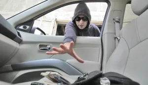 kradja223Krađe su najčeći oblik kriminalaS. RADOLOVIĆ------crna2 st