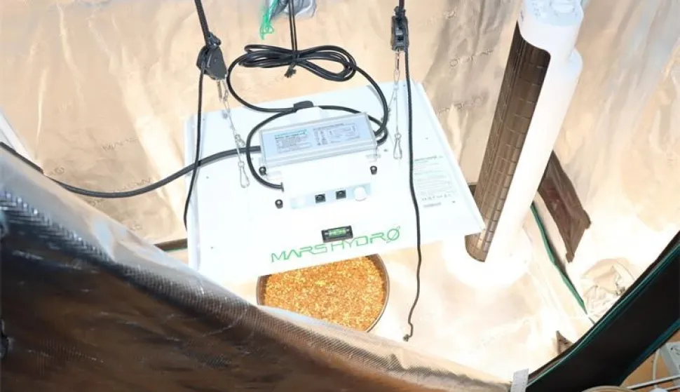 Zaplijenjeni laboratorij za uzgoj marihuane