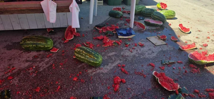 Detalji filmske pljačke na Viru: Zaštitari su automobil ostavili otključanim, ukradeno puno novca