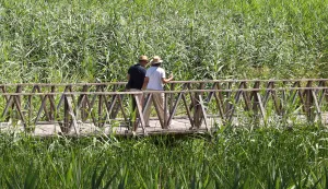 Robinzonski turizam: Ljudi žele doći u prirodu, posvetiti se sebi i obitelji, a Bilje im to pruža