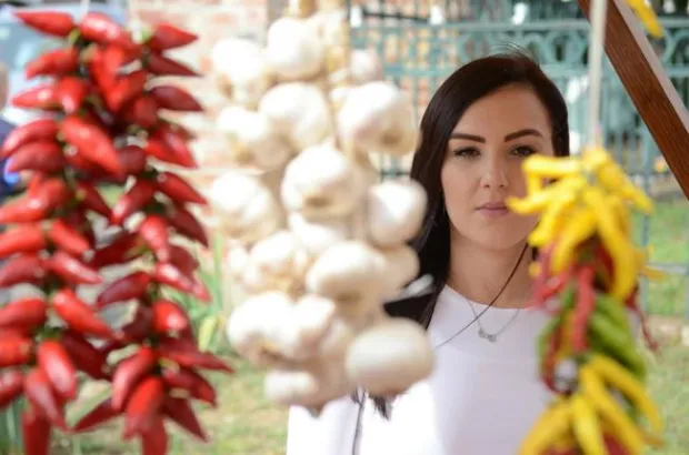 Robinzonski turizam: Ljudi žele doći u prirodu, posvetiti se sebi i obitelji, a Bilje im to pruža