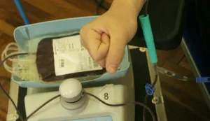 OSIJEK, 01. 04. 2014, RADIĆEVA ULICA. PRAVNI FAKULTET. STUDENTI I PROFESORI DAJU KRV. AKCIJA DOBROVOLJNOG DAVANJA KRVI. DDK...snimio GOJKO MITIĆ