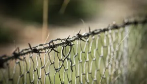 zaštitna ograda, žica