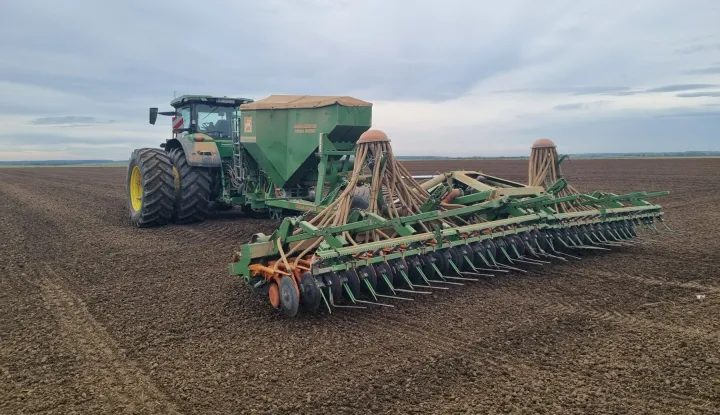 Sjetva na slavonsko-baranjskim poljima, jesen 2024