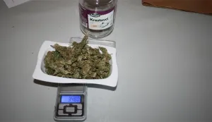 Na osječkom području zaplijenjena marihuana, ilustracija, policija