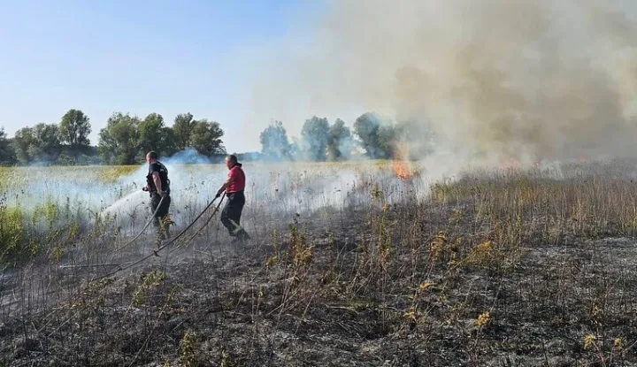 Vatrogasci spriječili širenje požara na Kopački rit
