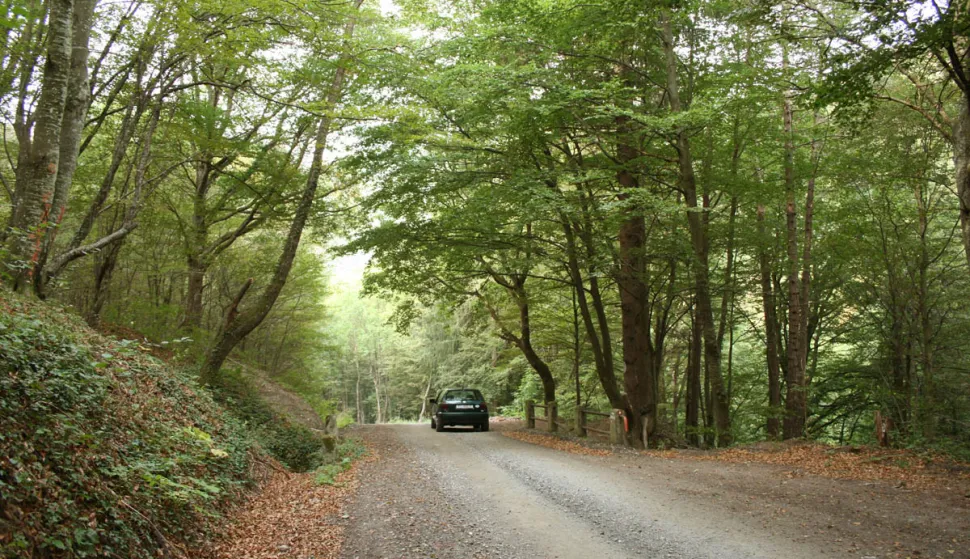 Velika,190912Snimak iz sume u Parku prirode Papuk.