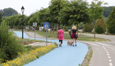 Osijek, 16. 07. 2025., slobodnjak, slobodnjaci, šetnja; psi; promenadaSNIMIO BRUNO JOBST