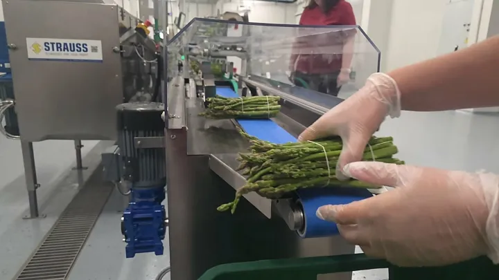 Šparoga na liniji u ATC-uustupljena fotografija