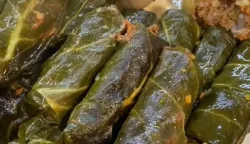 Ra&scaron;tika u novom i starom ruhu