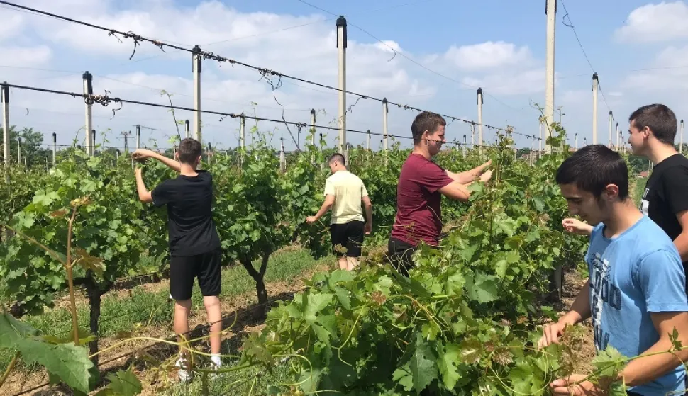 VINKOVCICentar za suvremene tehnologije i obrazovanje u poljoprivredi, II. faza, projekt Poljoprivredno-šumarske škole Vinkovci, ušao je u finale prestižnog izbora za najbolji EU projekt,rujan 2025.