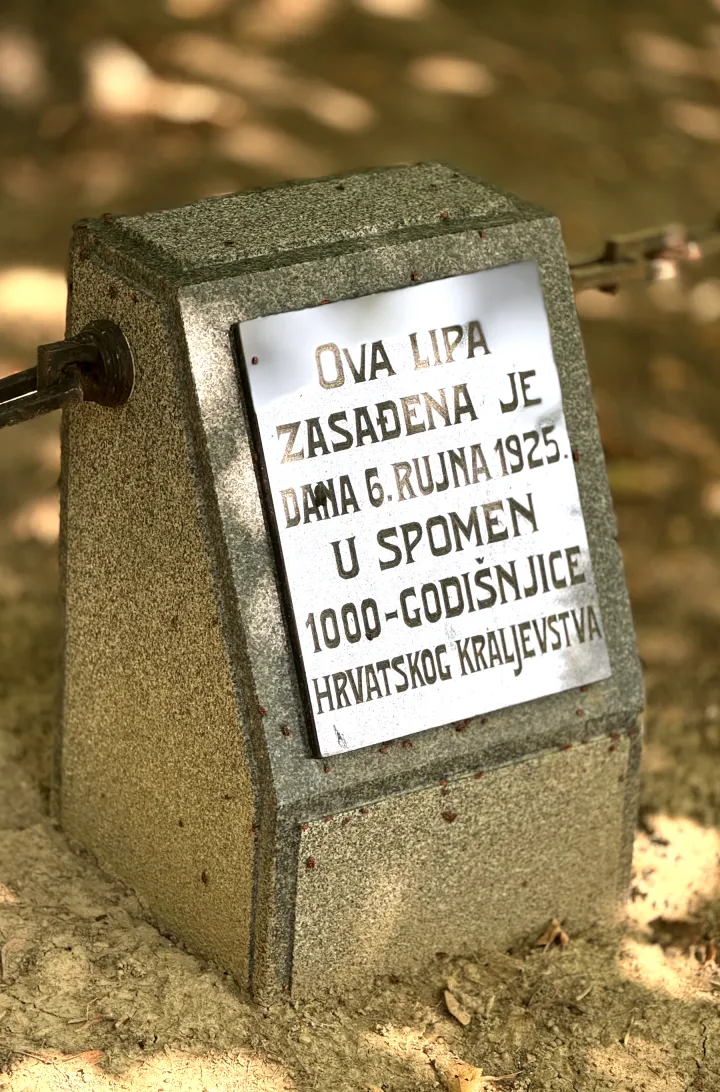 Osijek, 04. 09. 2025., Perivoj kralja Tomislava, lipa, stablo, Hrvatsko Kraljevstvo, zasađeno u spomen 1000-godišnjice Hrvatskog KraljevstvaSNIMIO BRUNO JOBST