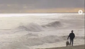 Pjevač i suosnivač britanskog rock benda Supertramp Rick Davies preminuo je u subotu u dobi od 81 godine, objavila je grupa u ponedjeljak.