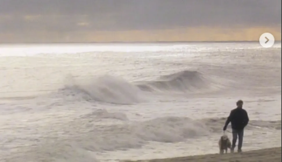 Pjevač i suosnivač britanskog rock benda Supertramp Rick Davies preminuo je u subotu u dobi od 81 godine, objavila je grupa u ponedjeljak.