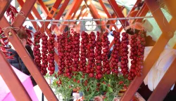 Kopačevo, 14. 09. 2024., 26. Ribarski dani u Kopačevu, ribarski dani, Kopačevo, ljute paprike; paprikaSNIMIO BRUNO JOBST