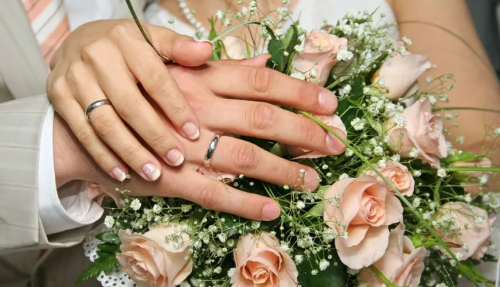 Svježe pečeni mladenci ilustracija