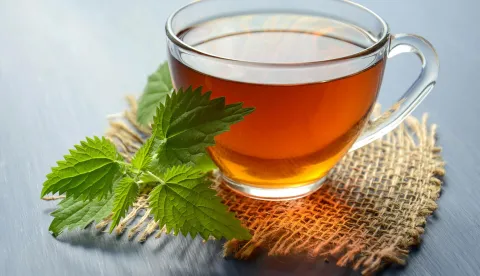 čaj od mente