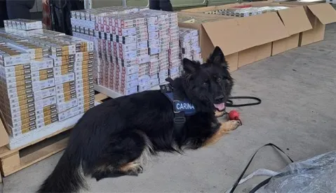 Na graničnom prijelazu Erdut zaplijenjeno skoro pola milijuna cigareta