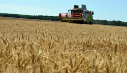 HPK: Domaća pšenica ne smije biti treća klasa, nužne izmjene pravilnika o otkupu