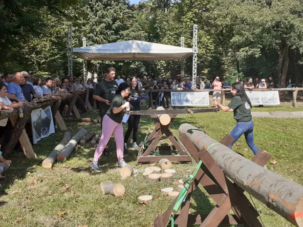 Našice su tri dana slavile bogatstvo šume