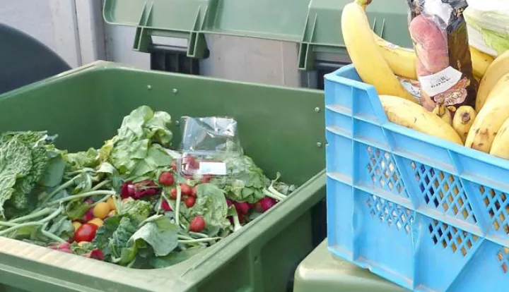 ?smeće hrana bacanje hrane otpad------kolor 2x nvoosti